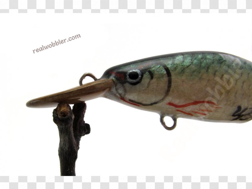 Fishing Baits & Lures Plug - Emily Rudd Transparent PNG