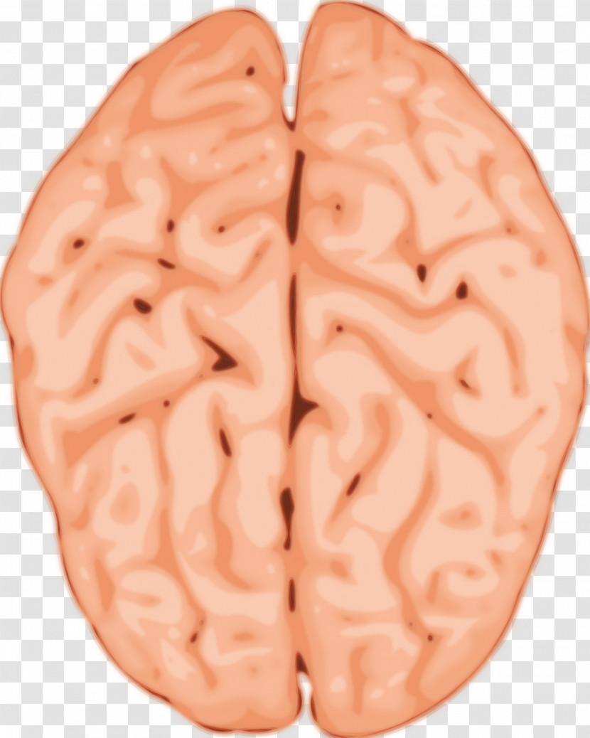 M-brain M-brain Group Flesh M Human Transparent PNG