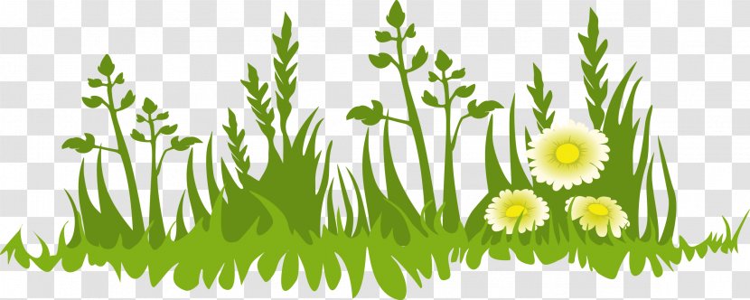 Cartoon Google Images Clip Art - Festival - Flower Fresh Meadow Grass Transparent PNG