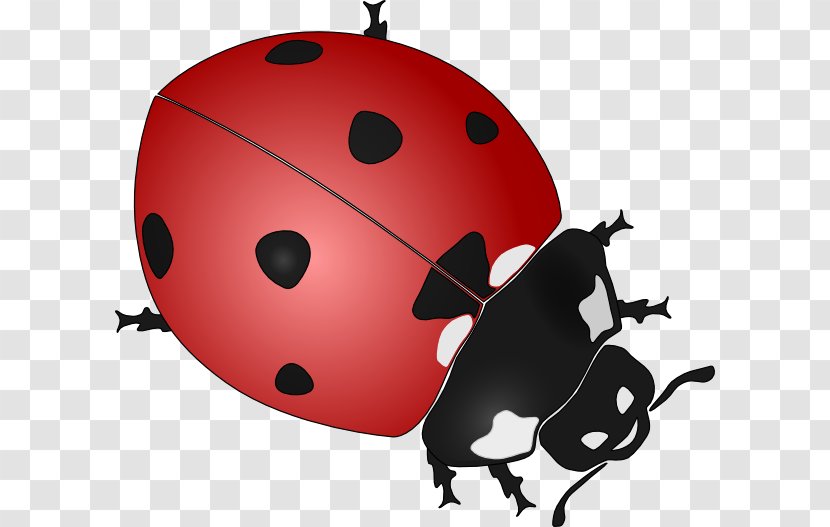 Beetle Ladybird Drawing Black And White Clip Art - Pixabay - Cartoon Ladybug Cliparts Transparent PNG