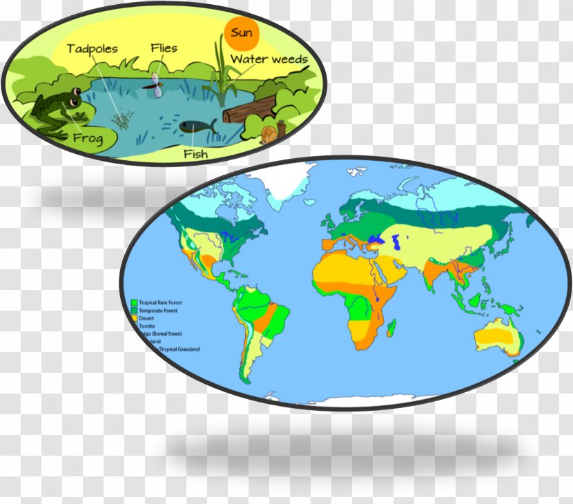 World Map Biome Science Climate - Geography - Living Transparent PNG