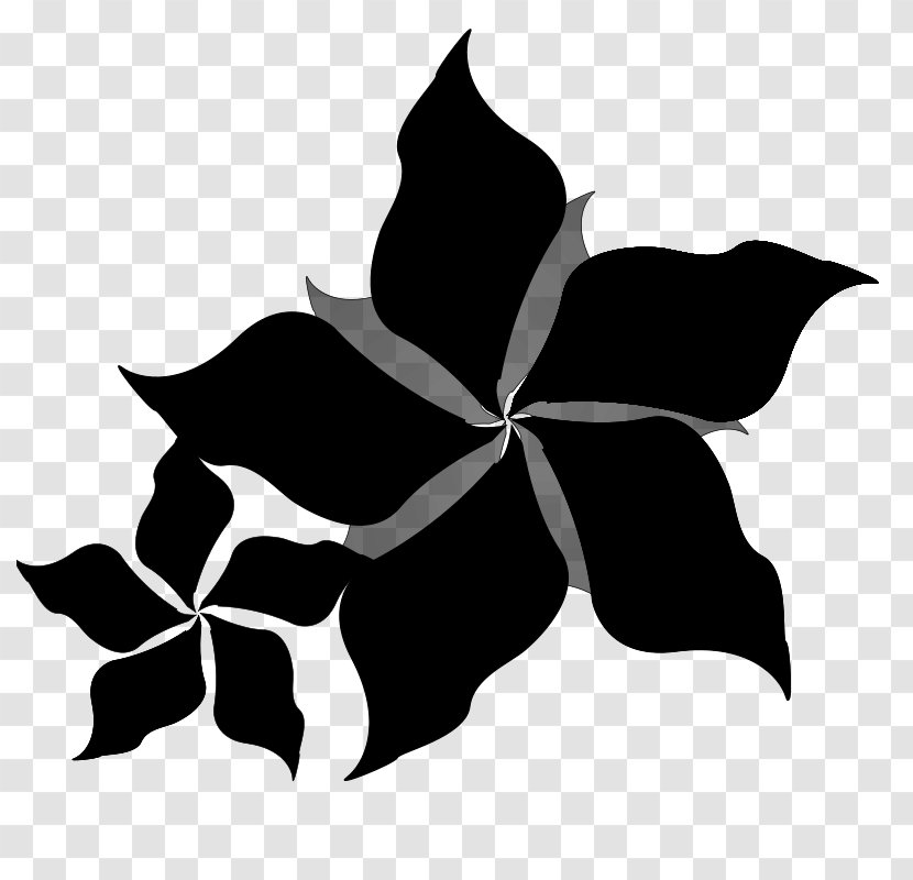Symmetry Font Leaf Flowering Plant Plants - Black - Monochrome Photography Transparent PNG