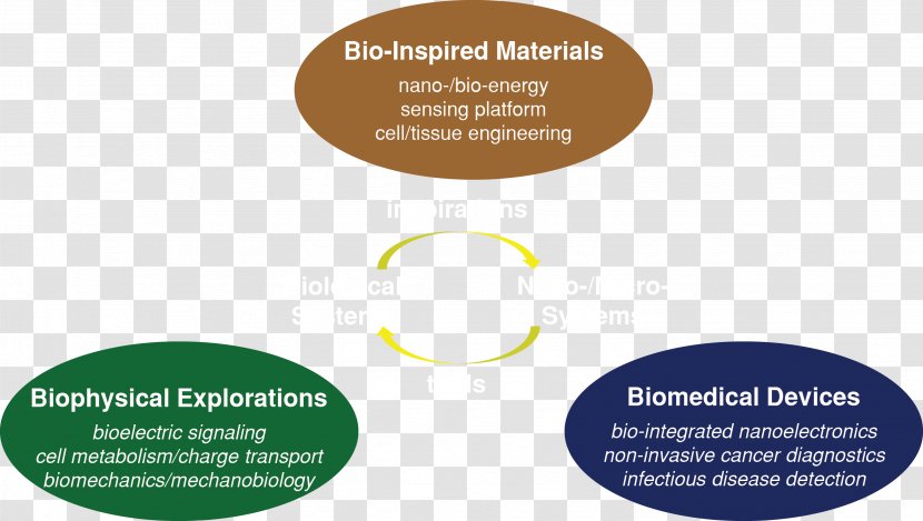 Biomedical Engineering Organization Medicine Research Logo - Bacterial Nanowires Transparent PNG