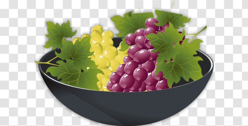 Grape - Grapevine Family - Superfood Transparent PNG