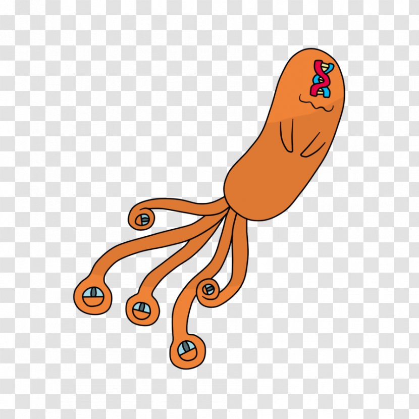 Octopus Clip Art Product Line Orange S.A. - Marine Invertebrates - Thermometer Clipart Svg Transparent PNG