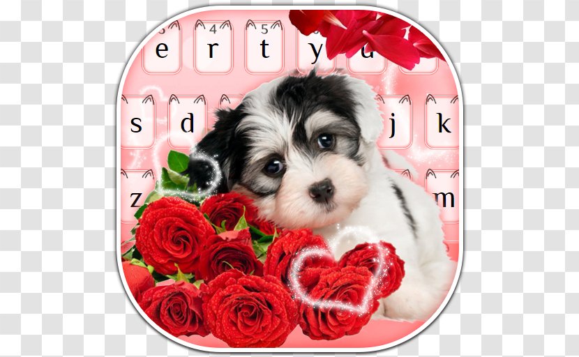 Puppy Greeting & Note Cards Dog Birthday Wish Transparent PNG