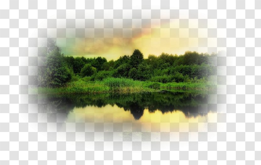 Landscape Painting Photographer Photography Summer - Vegetation Transparent PNG