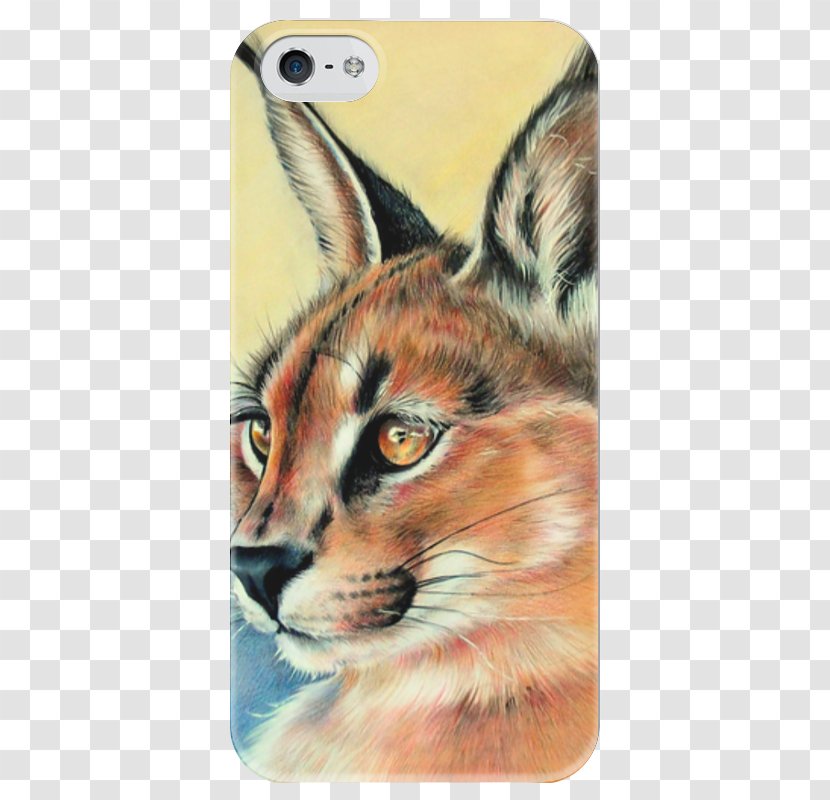 Whiskers Eurasian Lynx Red Fox Felidae Bobcat - Cat Transparent PNG