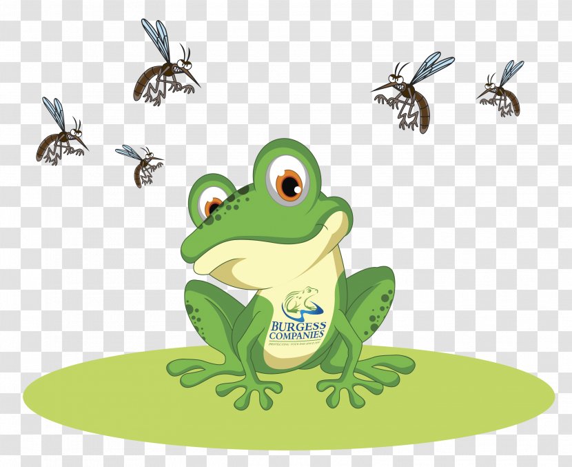 Frog Royalty-free Clip Art - Membrane Winged Insect - Mosquito Transparent PNG