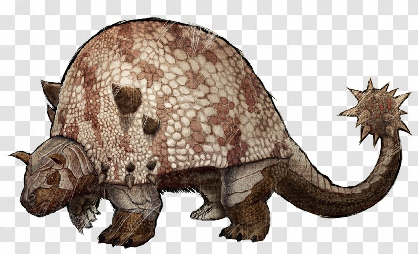 ARK: Survival Evolved Doedicurus Clavicaudatus Ankylosaurus Liopleurodon Glyptodont - Diplocaulus - Creatures Transparent PNG