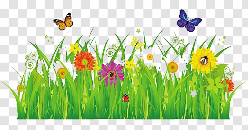 Insect Flower Stock Photography Royalty-free Clip Art - Grass Flowers Transparent PNG