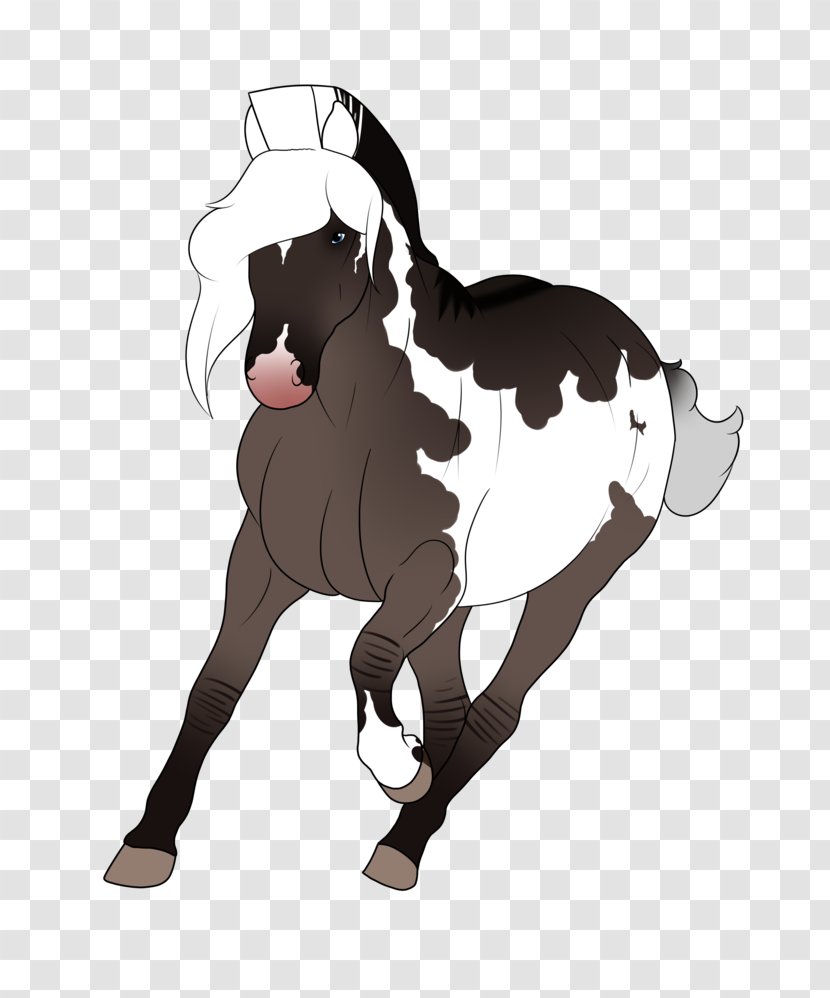 Pony Mustang Stallion Rein Drawing Transparent PNG