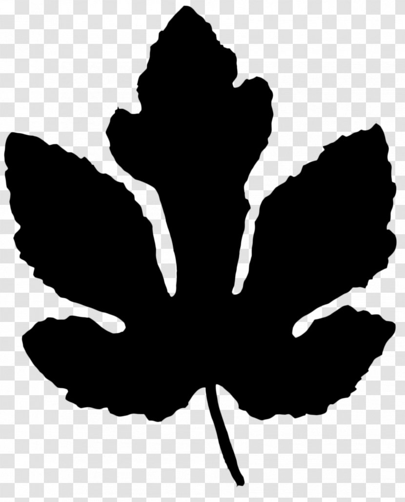 Tree Black & White - Plants - M Clip Art Flower Silhouette Transparent PNG