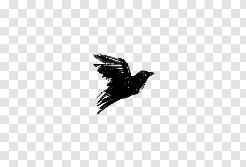 Crows Black And White Blackbird - Monochrome Photography - Crow Transparent PNG