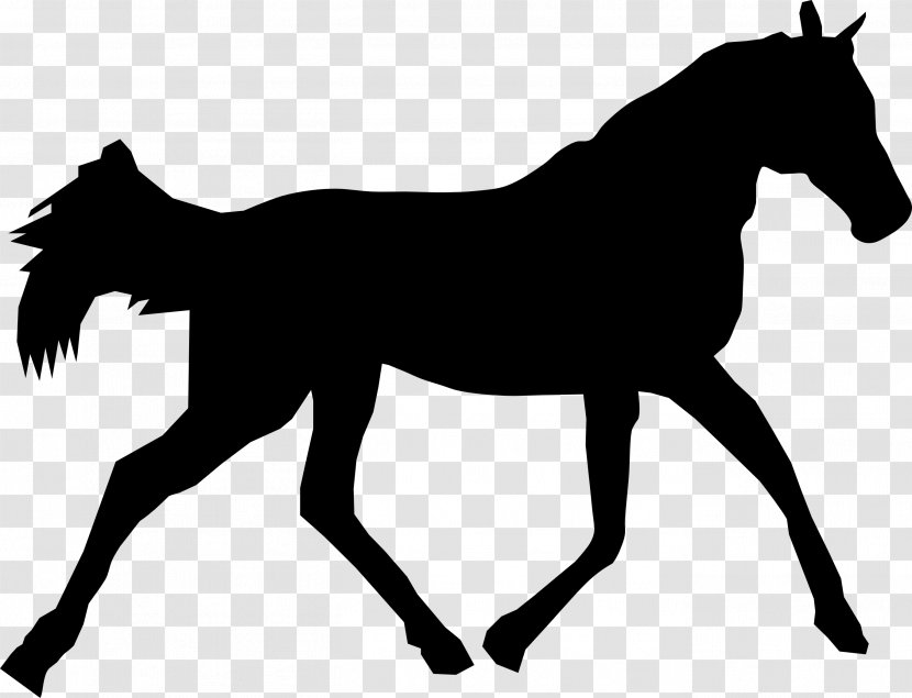 Horse Pony Silhouette Clip Art - Like Mammal - Animal Silhouettes Transparent PNG