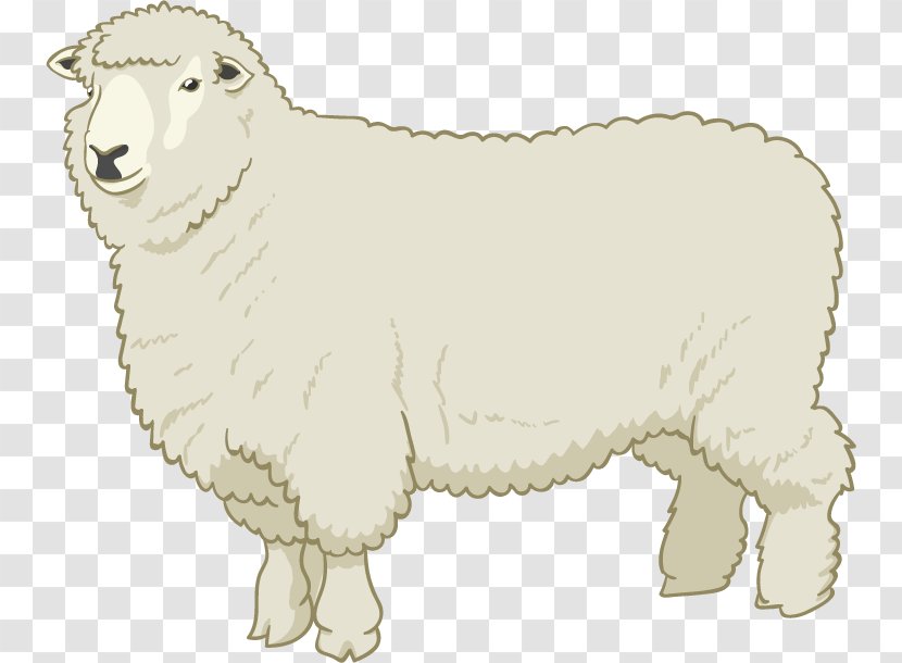 Sheep Drawing - Goat Antelope Transparent PNG