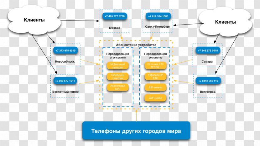 Organization Diagram - Communication - Rugby Union Numbering Schemes Transparent PNG