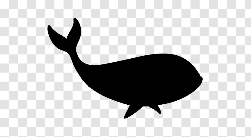 Porpoise Clip Art Black & White - Marine Mammal - M Whales Fauna Transparent PNG