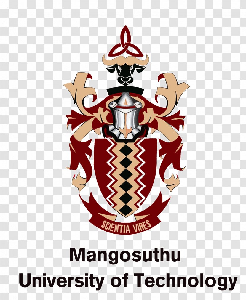 Durban University Of Technology Mangosuthu Stellenbosch Higher Education - Recreation - Hoa Board Members Thank You Transparent PNG