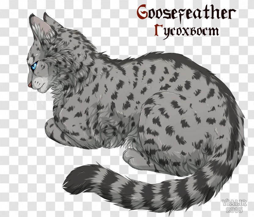 Warriors Cats Of The Clans Goosefeather Erin Hunter Lionblaze - Wild Cat - Real Transparent PNG