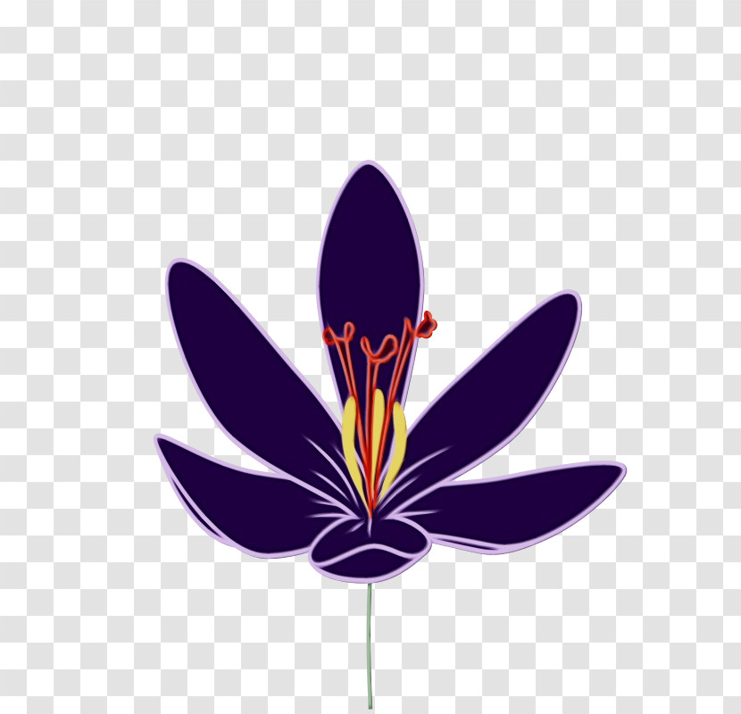 Flower Purple Plant Violet Petal Transparent PNG