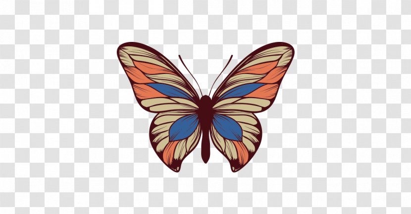 Monarch Butterfly Insect Transparent PNG