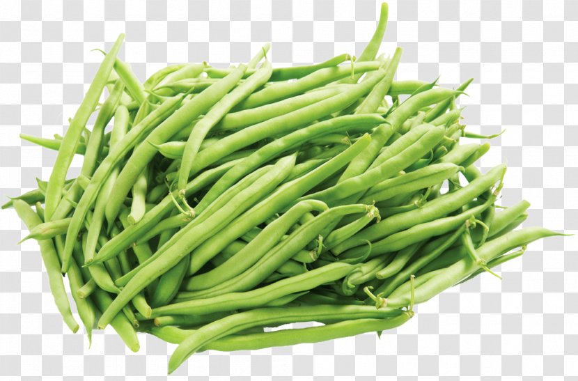 Green Bean Refried Beans Vegetable - Legume Transparent PNG