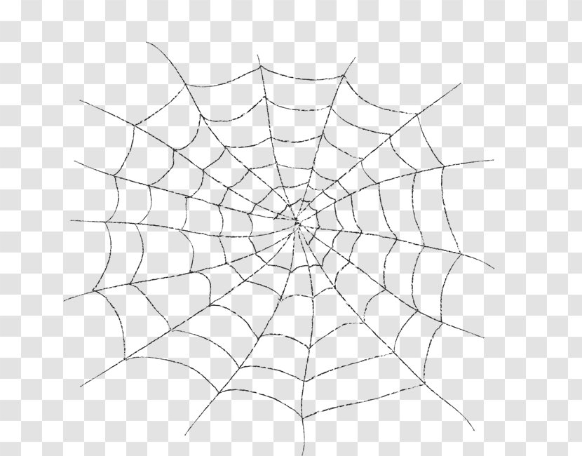 Spider Web Silk Transparency And Translucency Clip Art Transparent PNG