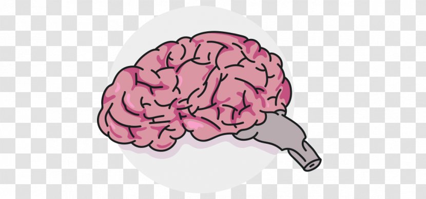 Brain Pink M Neurology - Heart Transparent PNG