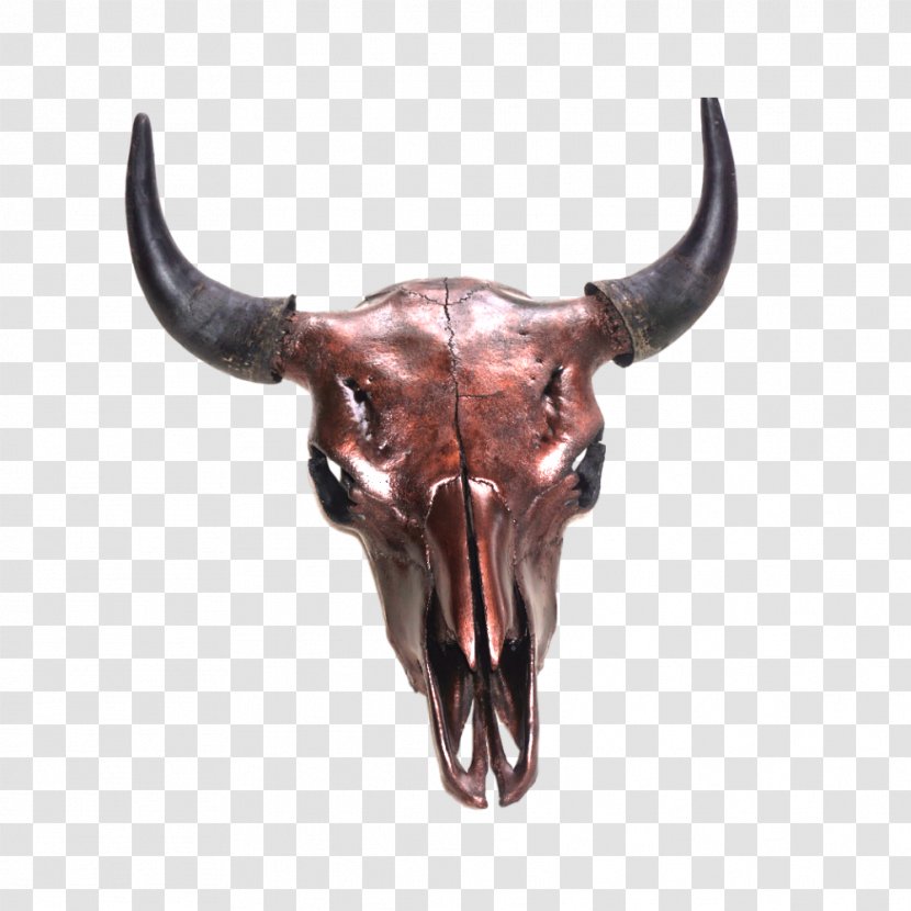 Skull American Bison Horn Cattle Hunting - Bone Transparent PNG