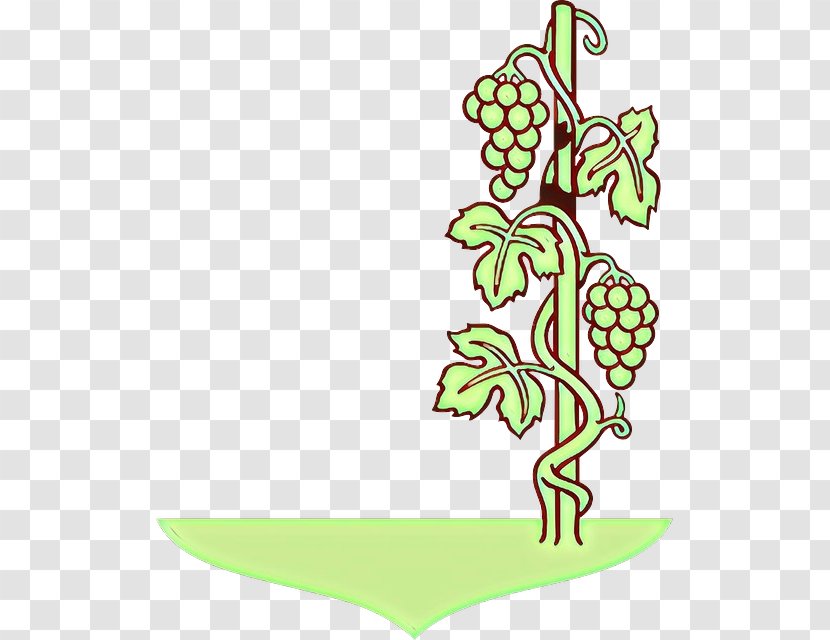 Flower Line Art - Plant Stem - Vitis Transparent PNG