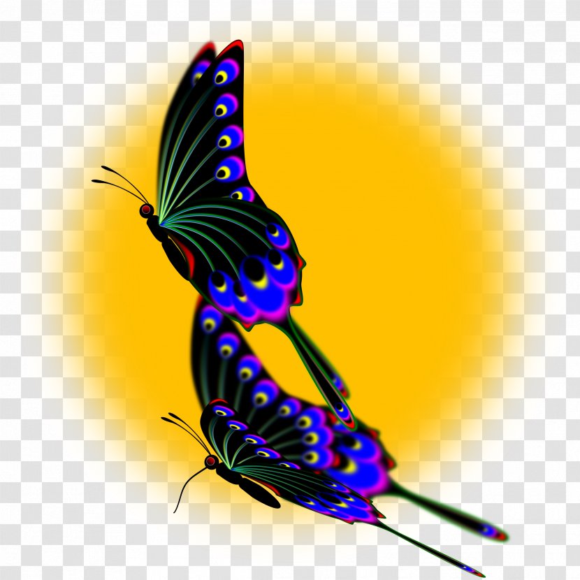 Butterfly Insect Windows Metafile Clip Art - Peacock Transparent PNG