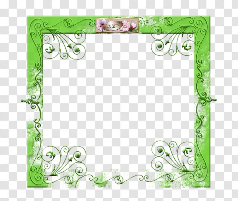 Floral Design Picture Frames Leaf Pattern - Organism Transparent PNG
