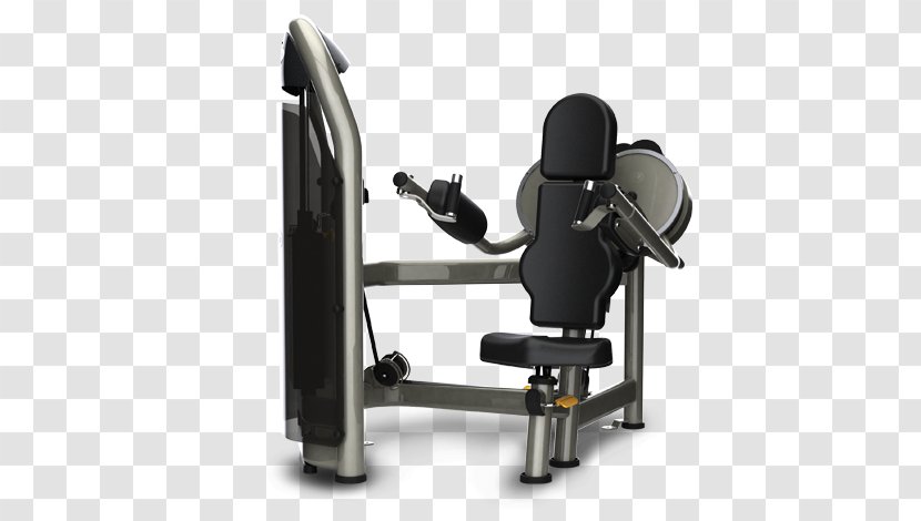 Exercise Equipment Fitness Centre Calf Raises Physical Weight Training - Fly - Machine Transparent PNG