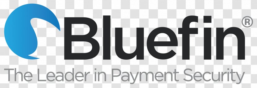 Point To Encryption Business Payment Processor Bluefin Systems - System Transparent PNG