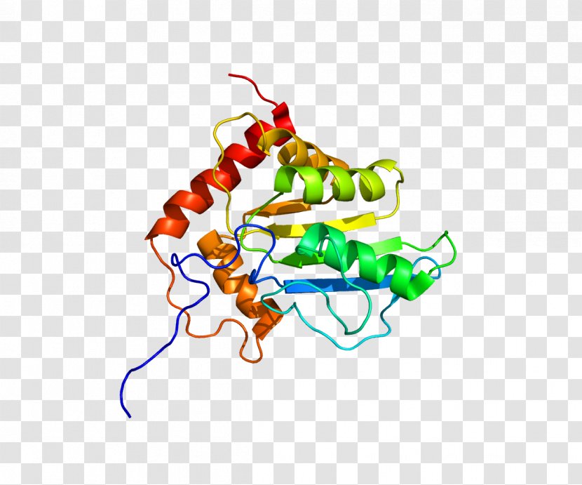 APOBEC3G Protein Structure - Tree Transparent PNG