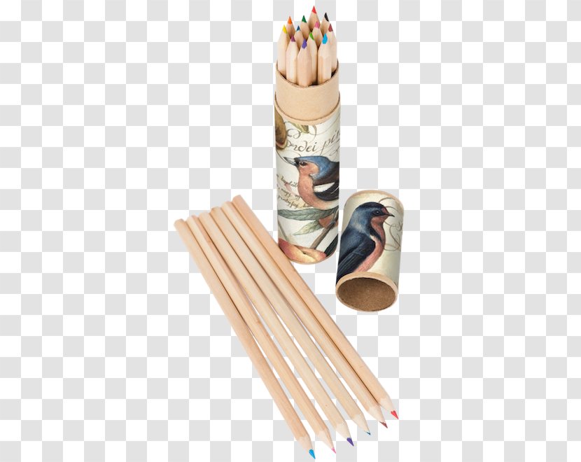 Colored Pencil Paper Crayola - Horalky Transparent PNG