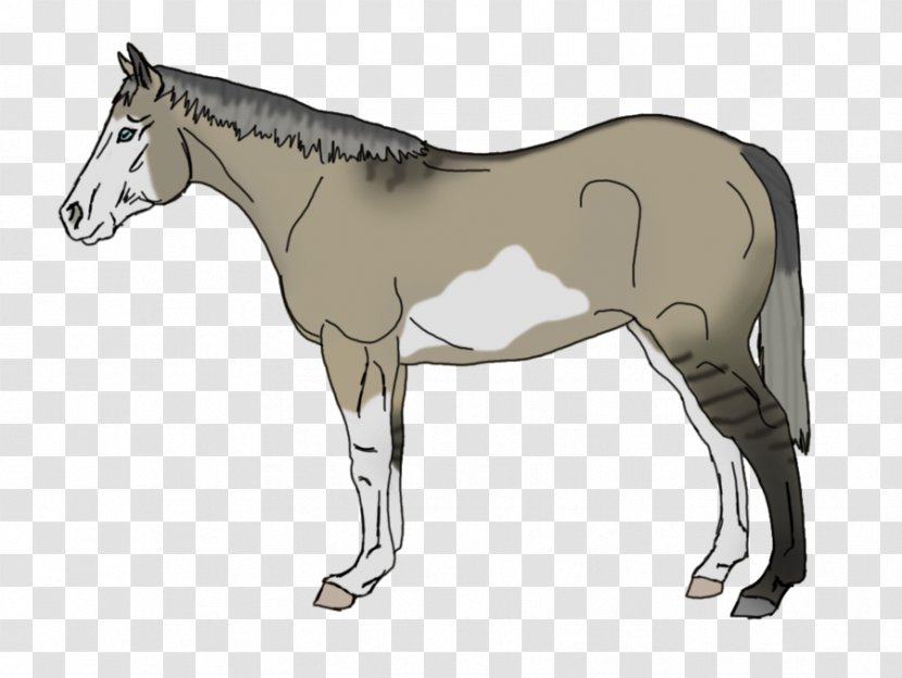 Mule Foal Stallion Mare Rein - Mustang Transparent PNG