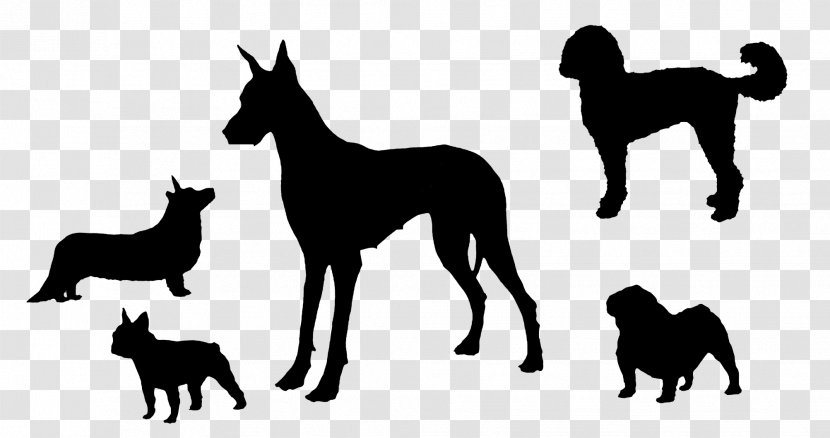 Dog Breed Silhouette Race - Health Transparent PNG