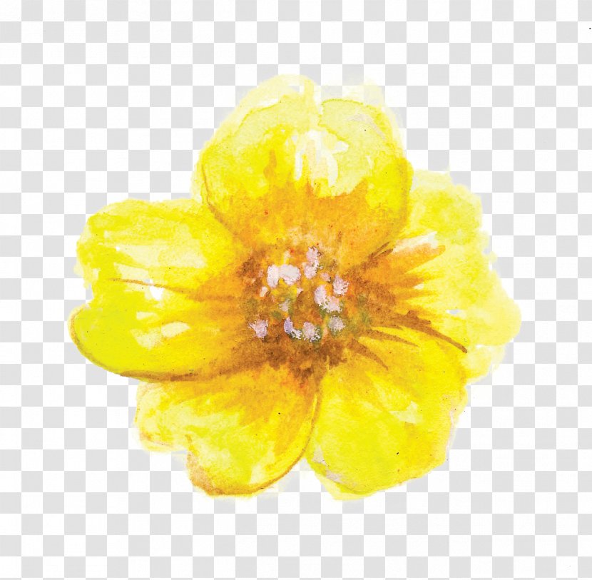 Petal - Flower - Yellow Transparent PNG