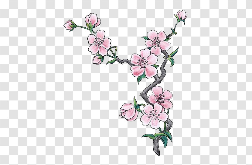 Cherry Blossom Transparent PNG