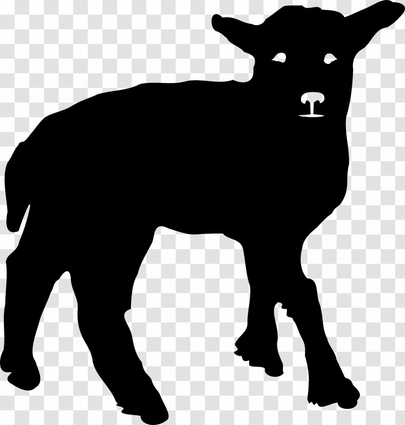 Silhouette Texel Sheep Lamb And Mutton Clip Art - Wildlife - Cow Head Transparent PNG