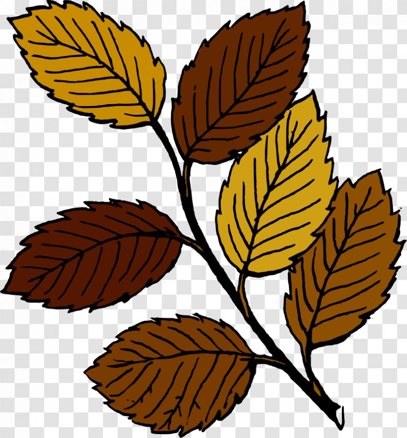 Autumn Leaf Color Free Content Clip Art - Fall Leaves Clipart Transparent PNG