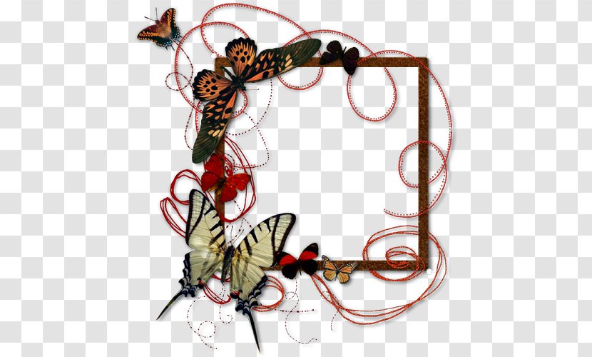 Butterfly - Client - Frame Transparent PNG