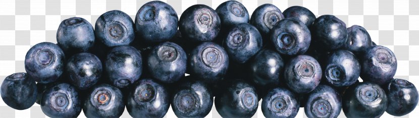 Blueberries - Fruit - Blueberry Transparent PNG