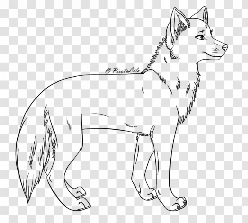 Line Art Red Fox Drawing - Wildlife Transparent PNG