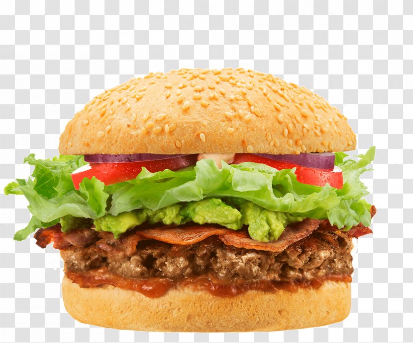 Cheeseburger Hamburger Junk Food French Fries Buffalo Burger - Gourmet Burgers Transparent PNG