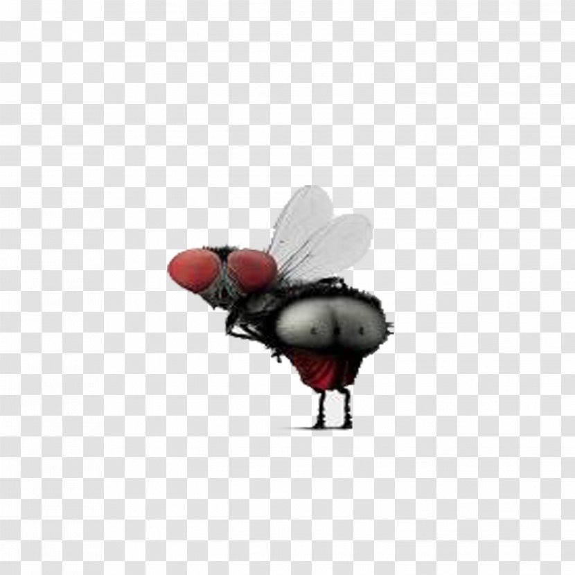 Humour Insect Wing Icon - Funny Fly Transparent PNG