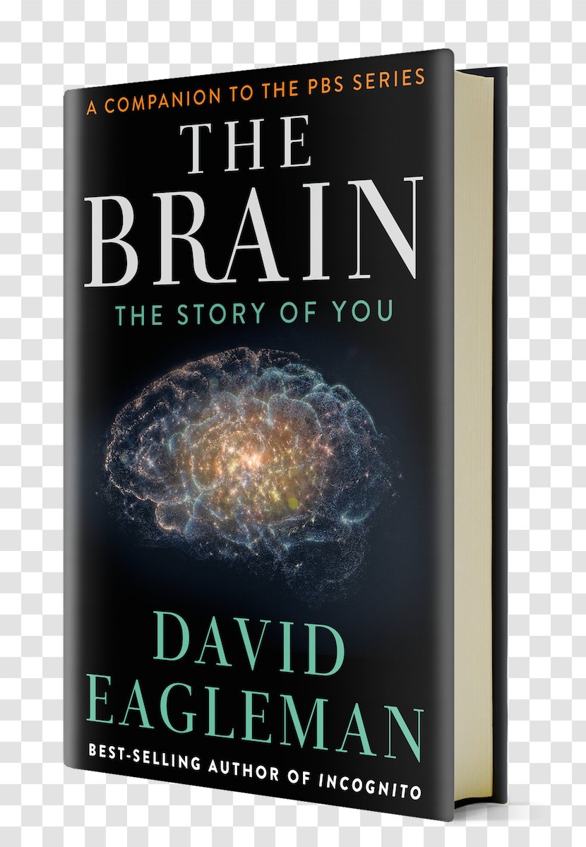 The Brain: Story Of You Incognito: Secret Lives Brain Human Book Amazon.com - With David Eagleman Transparent PNG