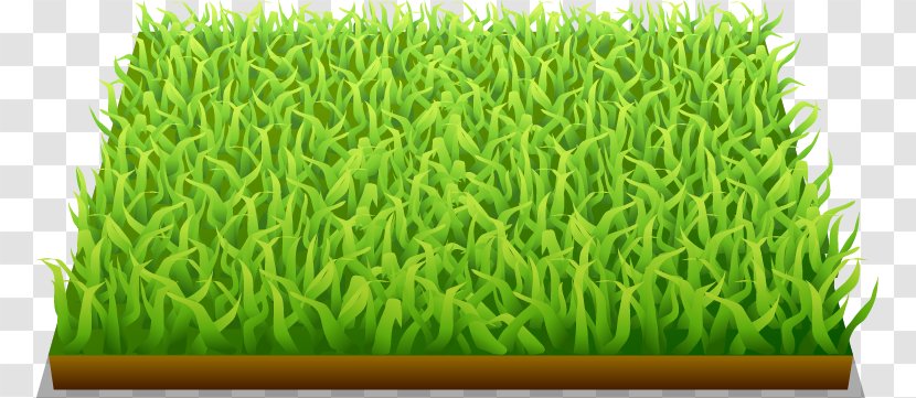 FIFA World Cup Football Pitch - Barley Green Painted Pattern Transparent PNG